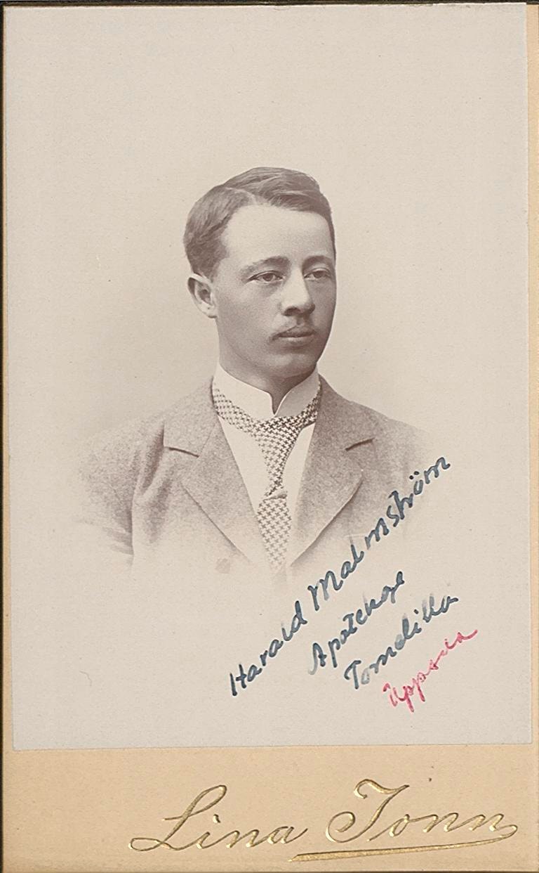 Apotekare Malmström, Harald