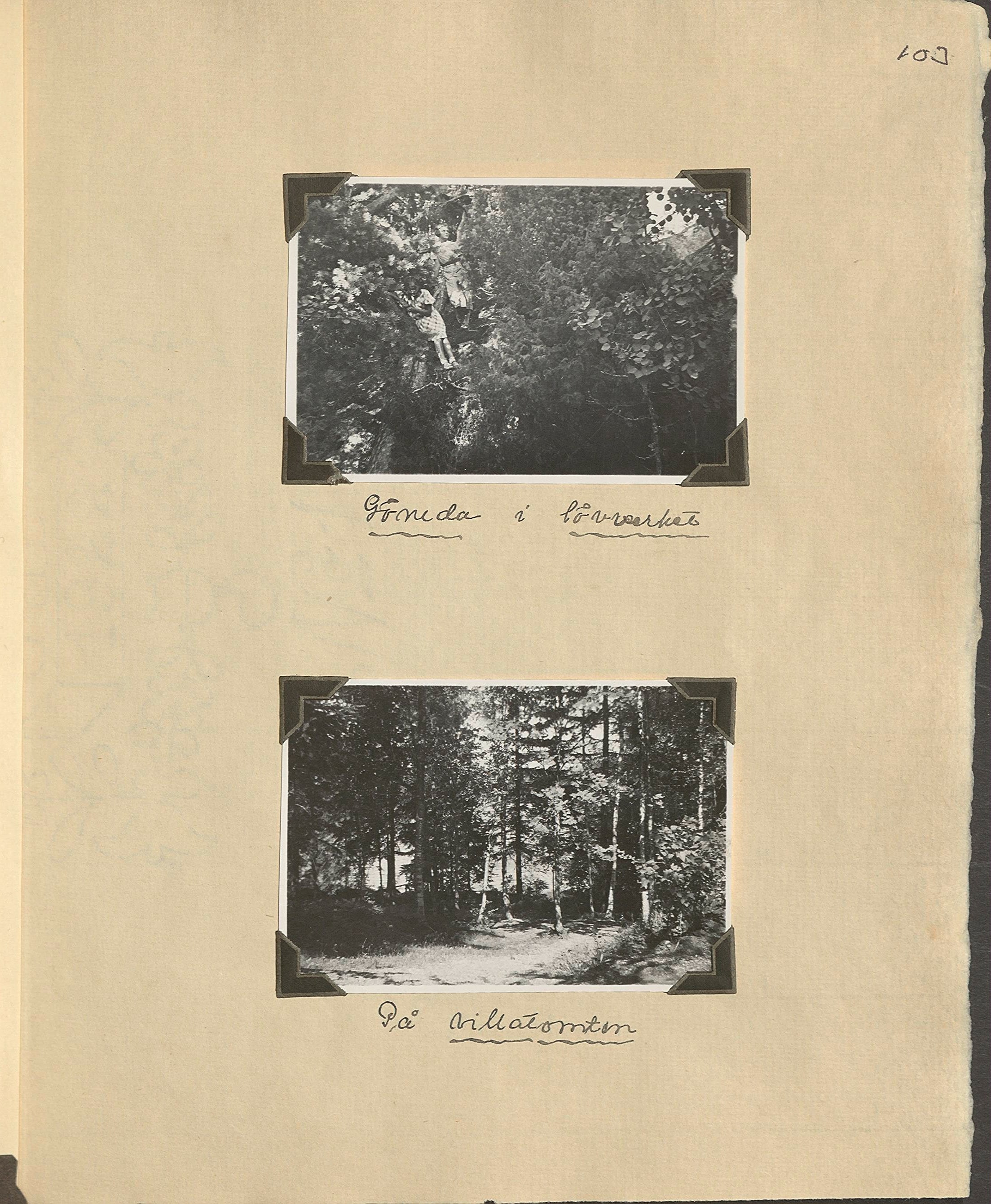 Emy f. Godée Borgströms fotoalbum