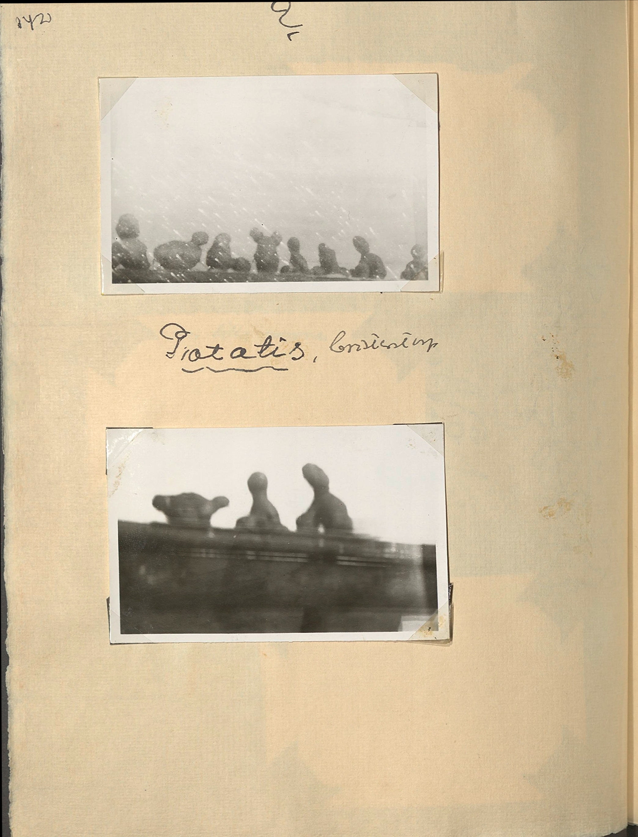 Emy f. Godée Borgströms fotoalbum