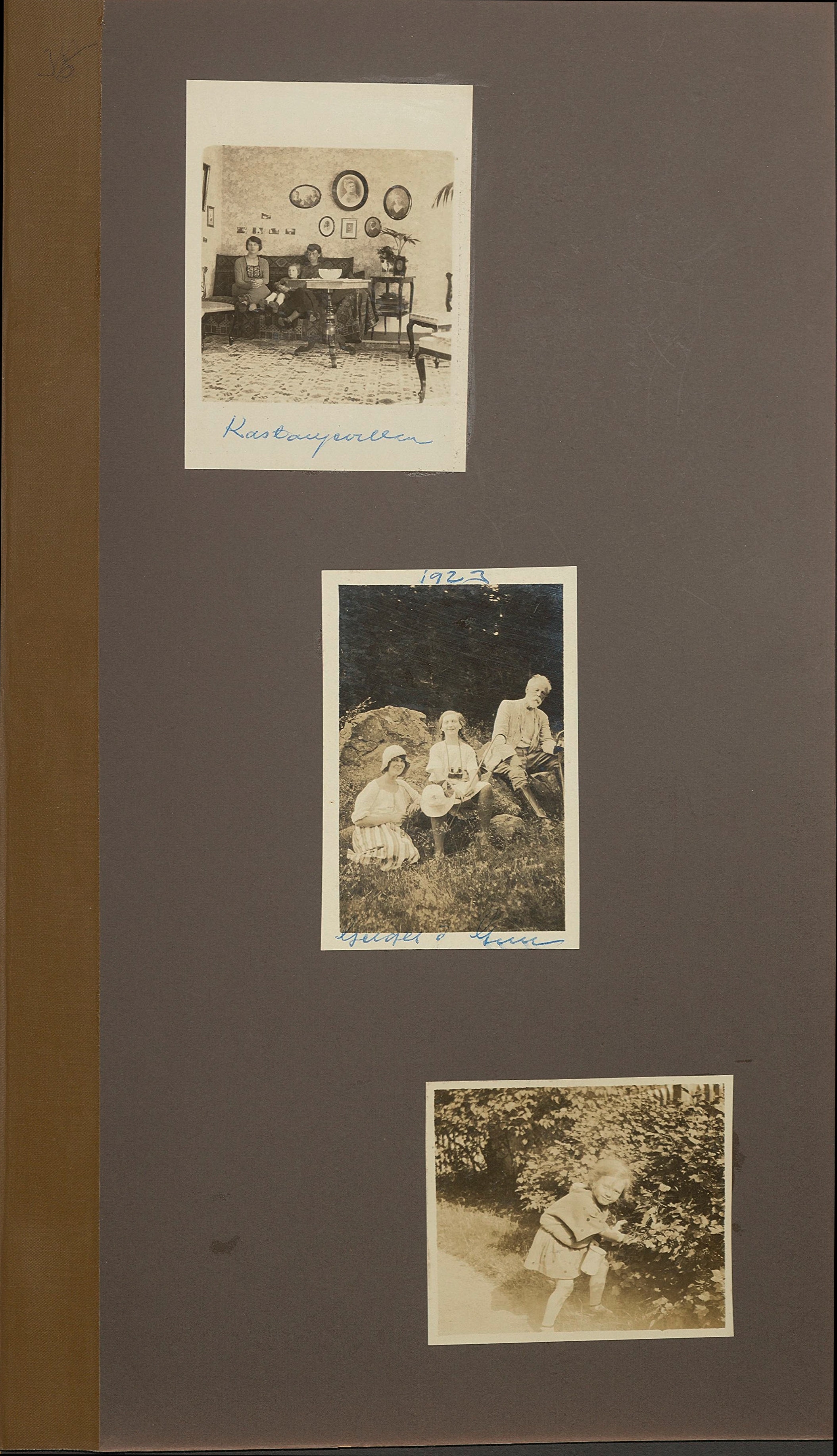 Hero-bild för Geiges, Fritz (1853-1935)s värld